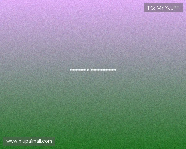 英超首轮创造机会榜：B费&哈维-巴恩斯领先，库杜斯跃居第二